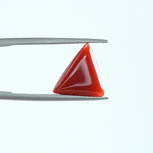 Red Coral - 1387