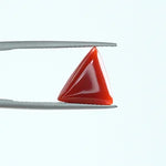 Red Coral - 1387