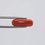 Red Coral - 127