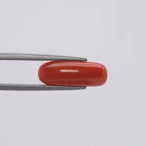 Red Coral - 127