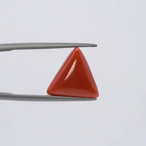 Red Coral - 3650