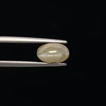 Cats Eye - 3388