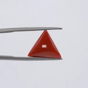 Red Coral - 3651