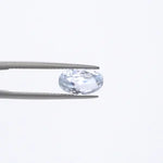 Blue Sapphire - 247