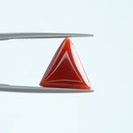 Red Coral - 1398