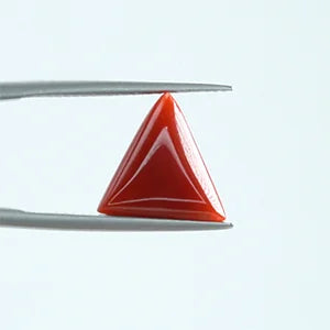 Red Coral - 1398