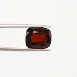 Hessonite - 1237