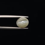 Cats Eye - 3350