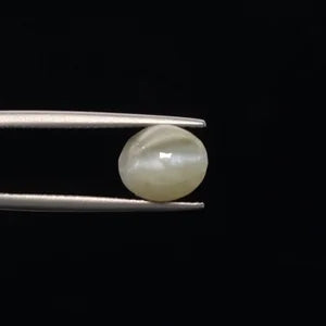 Cats Eye - 3350