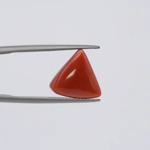 Red Coral - 3669