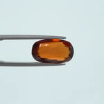 Hessonite - 2677