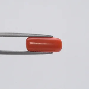 Red Coral - 137