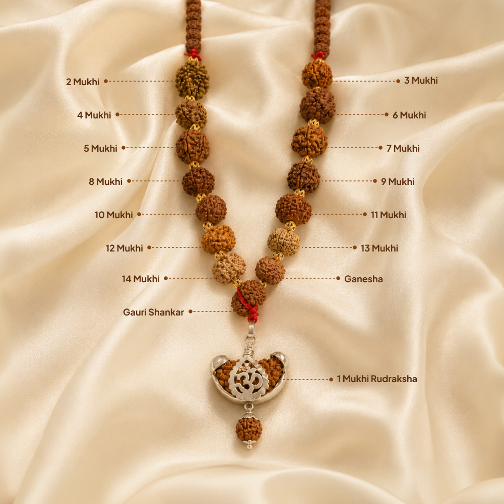1-14 Mukhi Siddha Rudraksha Mala