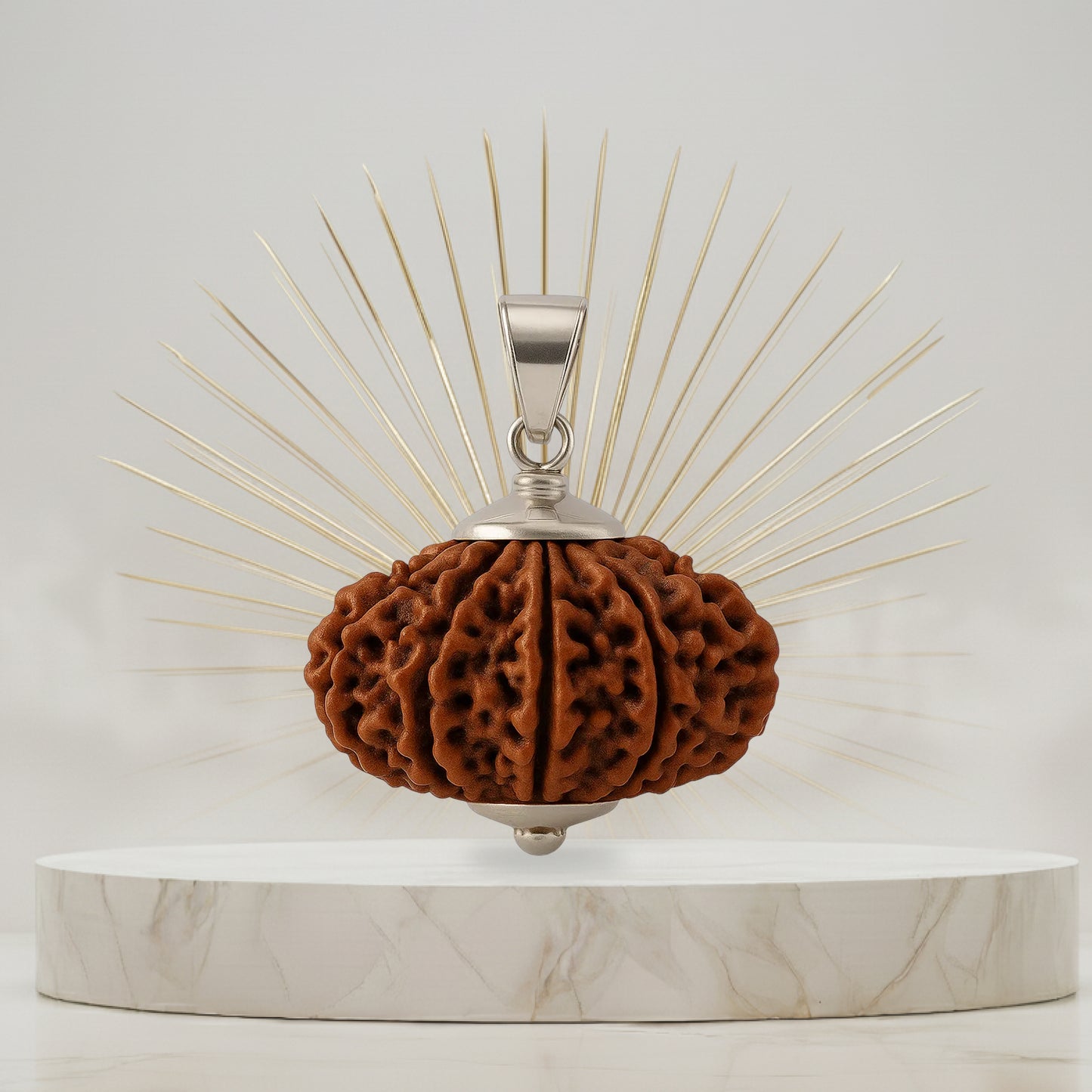10 Mukhi Rudraksha Pendant- Nepali