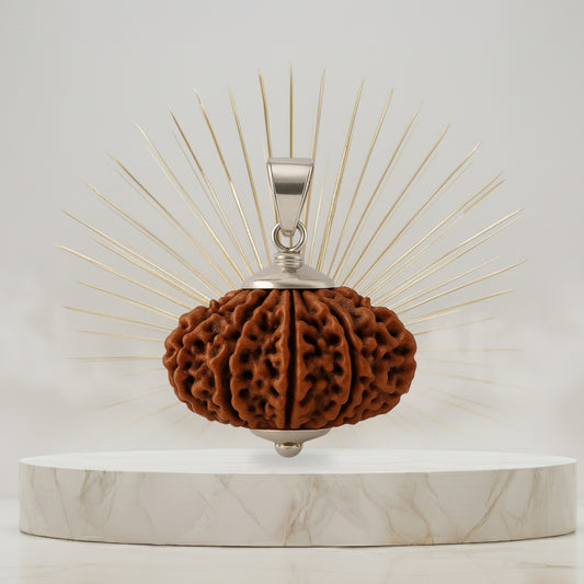 10 Mukhi Rudraksha Pendant- Nepali