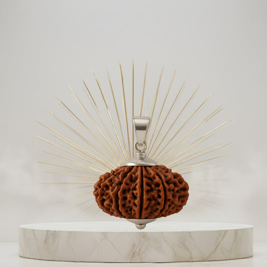 10 Mukhi Rudraksha Pendant- Nepali
