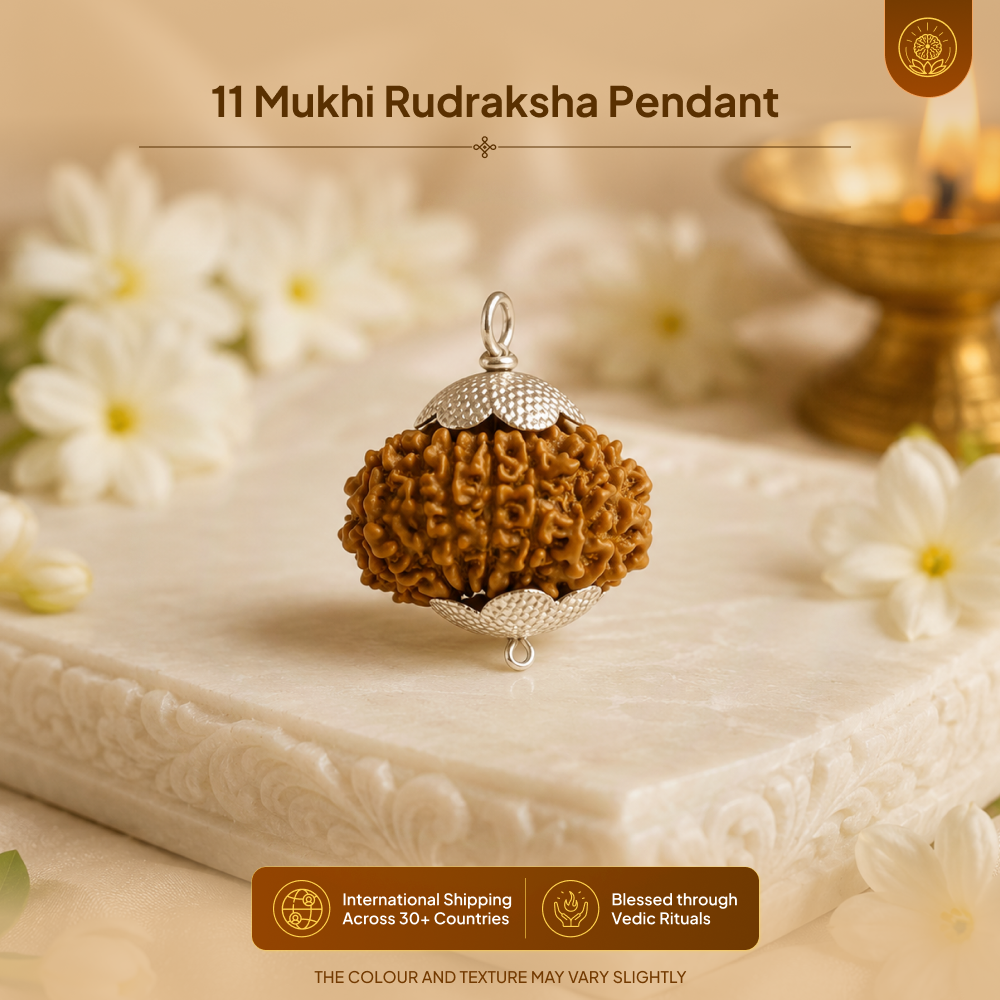 11 Mukhi Rudraksha Pendant- Nepali