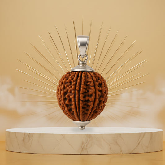 11 Mukhi Rudraksha Pendant- Nepali