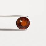 Hessonite - 1317