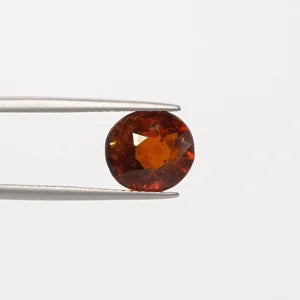 Hessonite - 1317