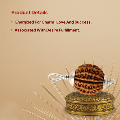 13 Mukhi Rudraksha Pendant - Nepali