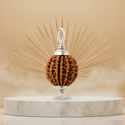 13 Mukhi Rudraksha Pendant - Nepali