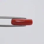 Red Coral - 132