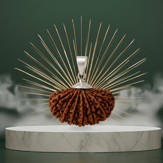 14 Mukhi Rudraksha Pendant - Indian