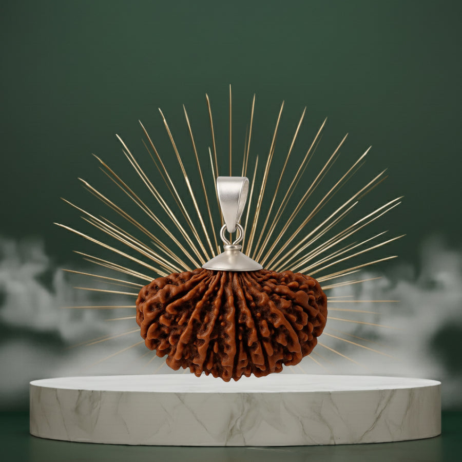 14 Mukhi Rudraksha Pendant - Indian
