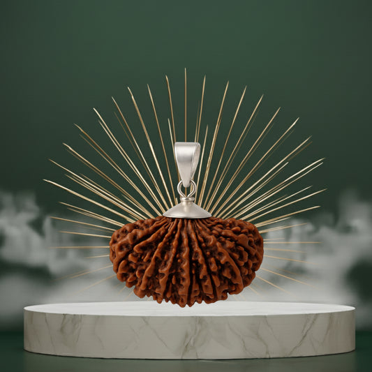 14 Mukhi Rudraksha Pendant - Indian