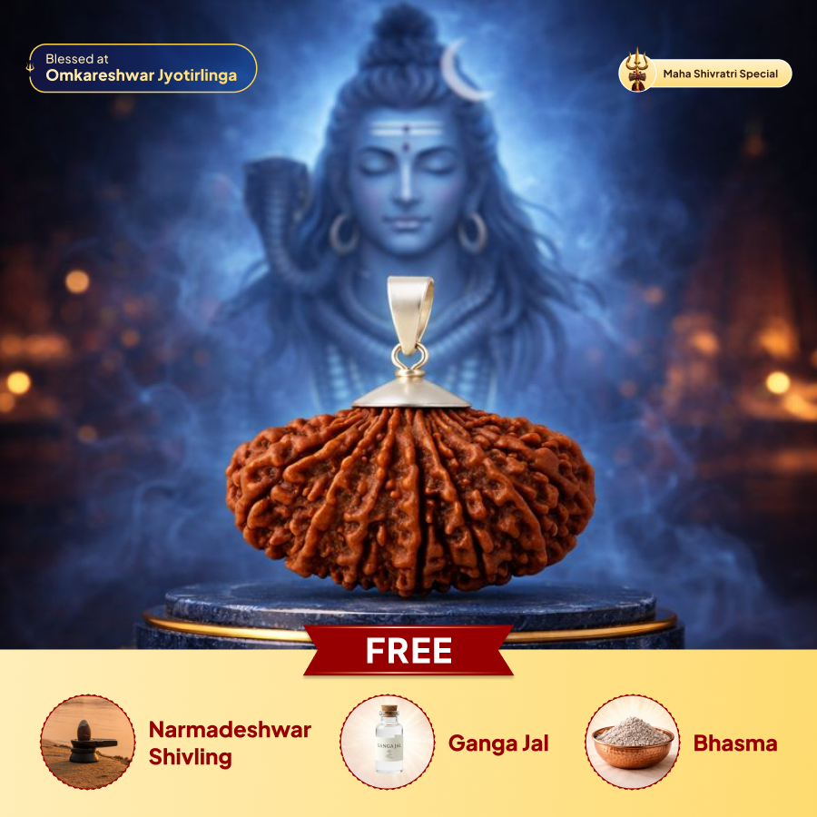 14 Mukhi Rudraksha Pendant - Indian