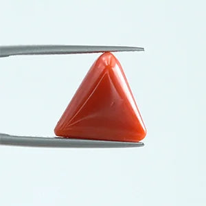 Red Coral - 1397