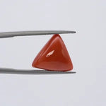 Red Coral - 3653