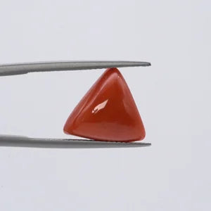 Red Coral - 3653