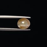 Cats Eye - 3385