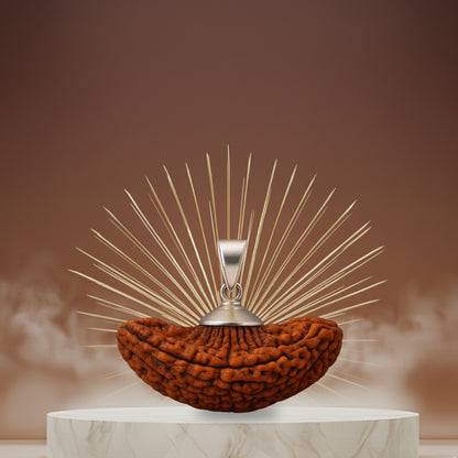 1 Mukhi Rudraksha Pendant- Indian
