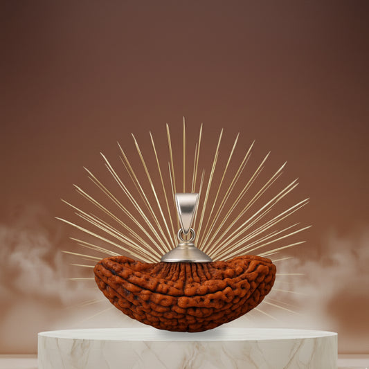 1 Mukhi Rudraksha Pendant- Indian