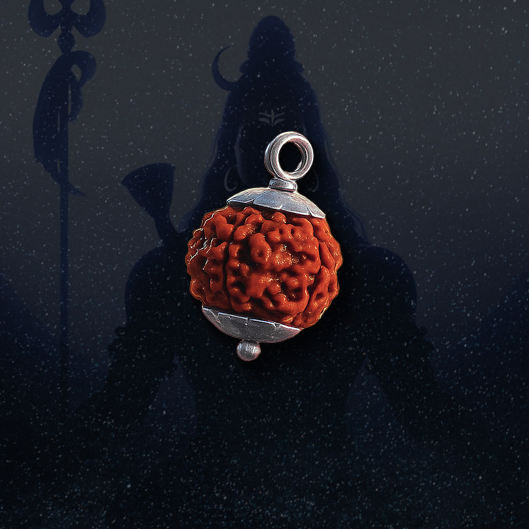 5 Mukhi Rudraksha | Energized at the sacred Omkareshwar Jyotirlinga 🔱