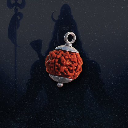 5 Mukhi Rudraksha | Energized at the sacred Omkareshwar Jyotirlinga 🔱