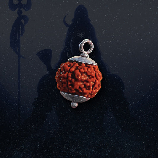 5 Mukhi Rudraksha | Energized at the sacred Omkareshwar Jyotirlinga 🔱