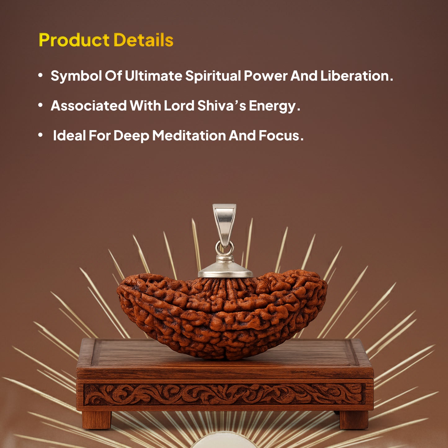 1 Mukhi Rudraksha Pendant- Indian