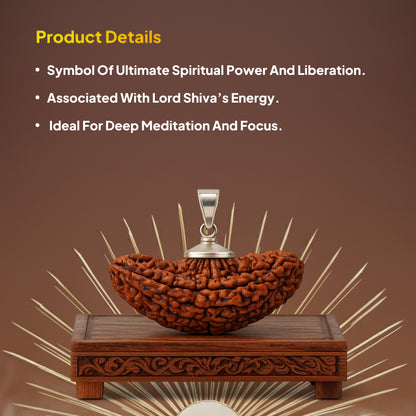 1 Mukhi Rudraksha Pendant- Indian
