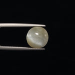 Cats Eye - 3363