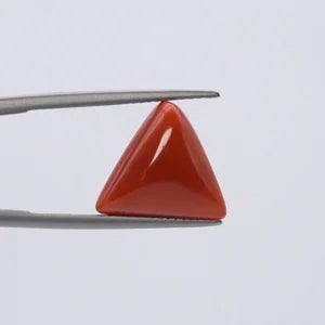 Red Coral - 3633