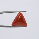 Red Coral - 3633