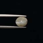 Cats Eye - 805