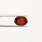 Hessonite - 1306