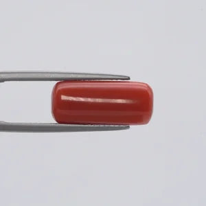 Red Coral - 141