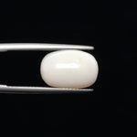 Fire Opal - 699