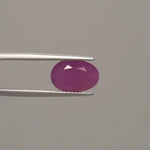 Ruby - 1091
